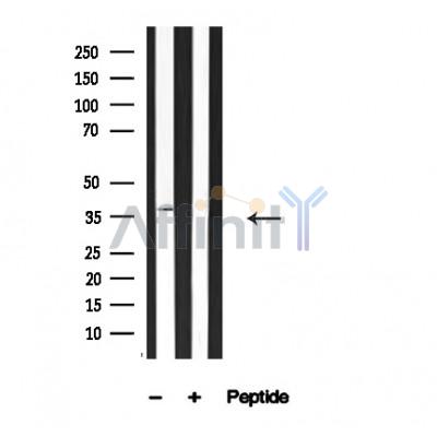 Валидация Affinity AF4610 - 2222