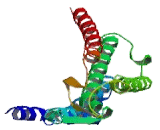 G Protein Coupled Receptor 161 (GPR161) G Protein Coupled Receptor 161 (GPR161)