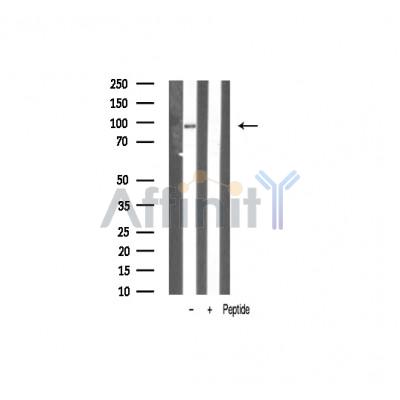 Валидация Affinity AF6182 - 3401