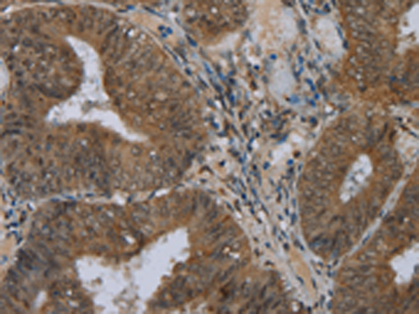 Валидация AssayVector ARM1036(102)