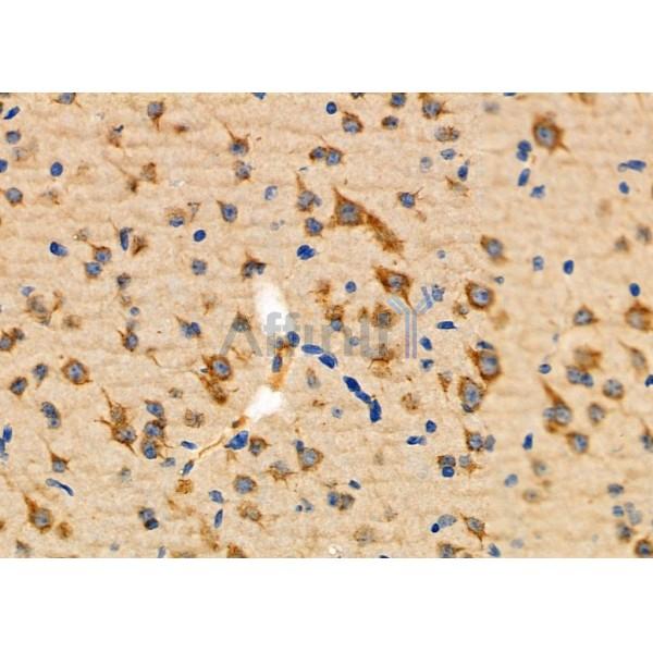 Валидация Affinity DF6388 - 17751