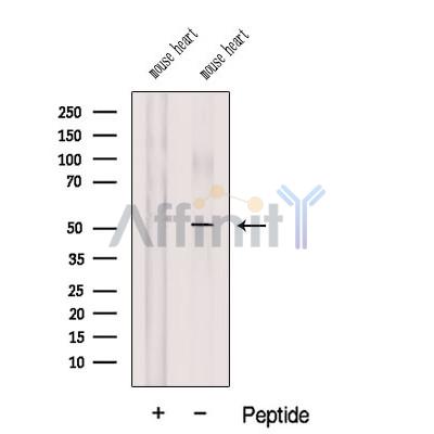 Валидация Affinity DF12585 - 7200