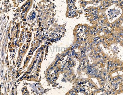 Валидация Affinity DF13793 - 9466