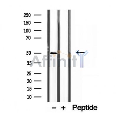 Валидация Affinity DF12188 - 6421