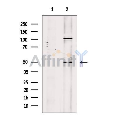 Валидация Affinity DF7830 - 19635