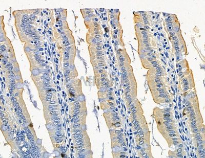 Валидация Affinity DF15257 - 11540