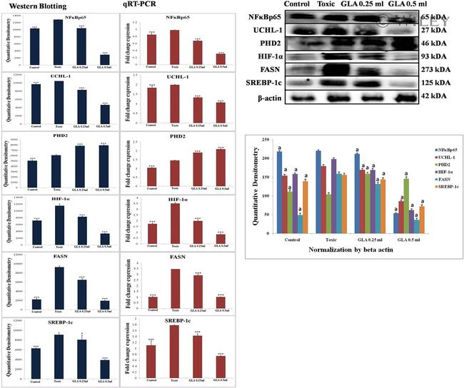Валидация AssayVector ARM1375(1038)