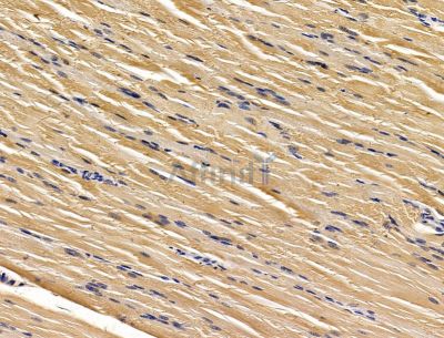 Валидация Affinity DF15073 - 11307