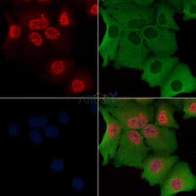 Валидация Affinity AF5284 - 2818