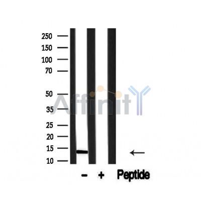 Валидация Affinity AF4655 - 2269