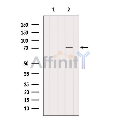 Валидация Affinity DF3920 - 15103
