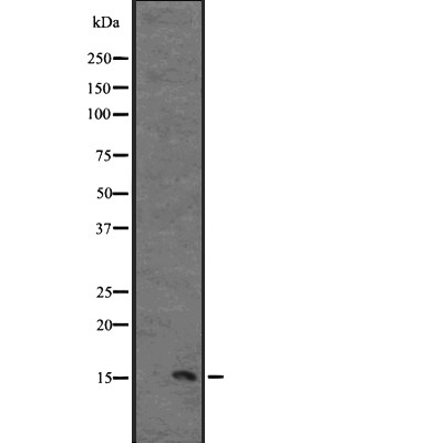 Валидация Affinity DF2520 - 13173