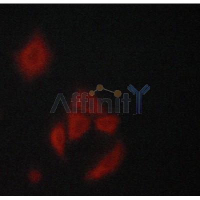 Валидация Affinity AF7003 - 4133