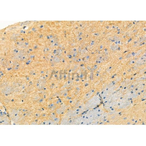 Валидация Affinity DF12329 - 6739