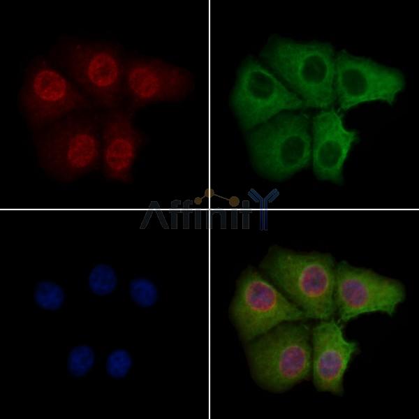 Валидация Affinity AF6008 - 3194