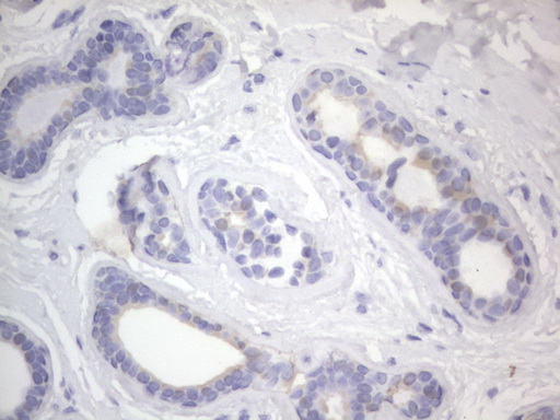 Валидация AssayVector ARM1056(159)