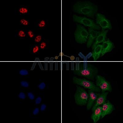 Валидация Affinity DF3696 - 14722