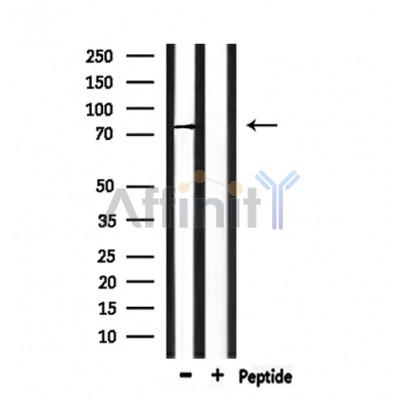 Валидация Affinity DF8540 - 20423