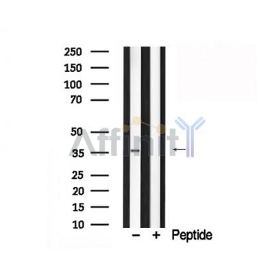 Валидация Affinity AF7840 - 4569