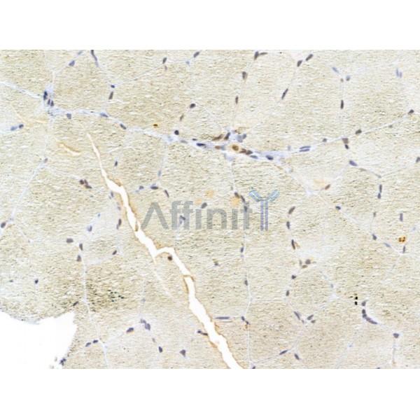 Валидация Affinity DF13002 - 7790