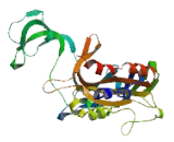 Purinergic Receptor P2X, Ligand Gated Ion Channel 7 (P2RX7) Purinergic Receptor P2X, Ligand Gated Ion Channel 7 (P2RX7)
