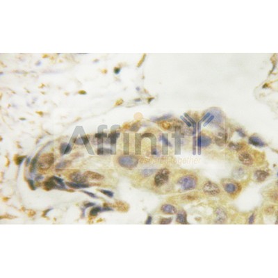 Валидация Affinity AF6412 - 3707