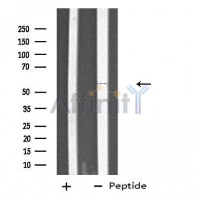 Валидация Affinity DF4745 - 16454