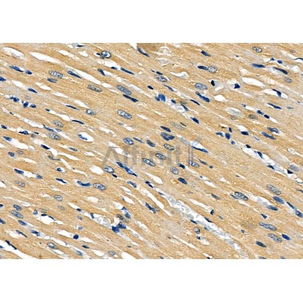 Валидация Affinity DF7730 - 19523