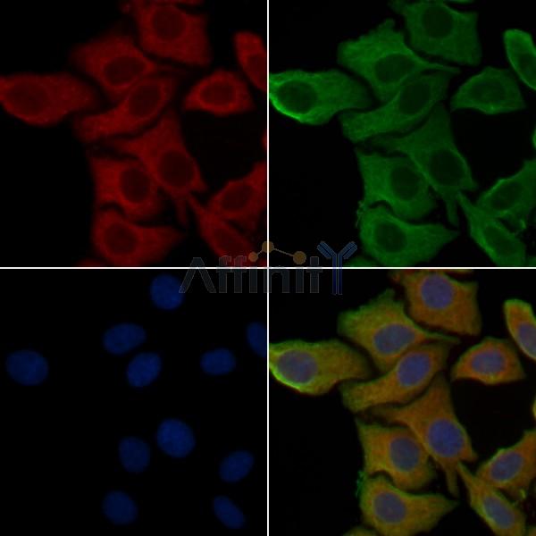 Валидация Affinity DF5026 - 16906