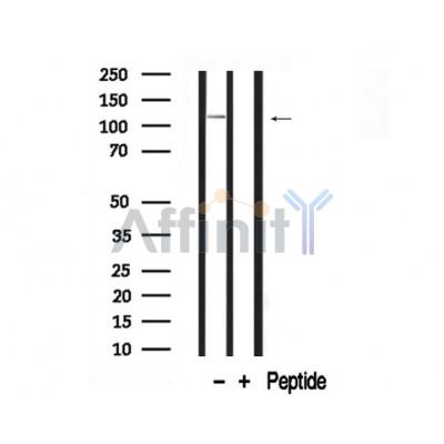 Валидация Affinity AF7749 - 4451