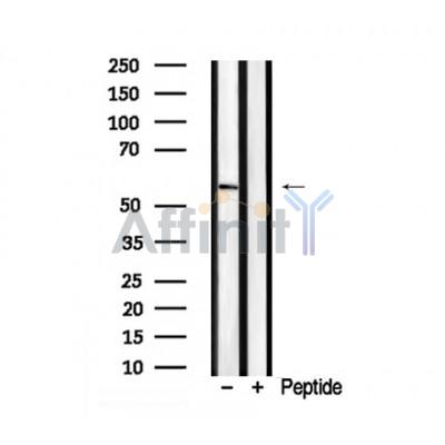 Валидация Affinity AF7930 - 4680