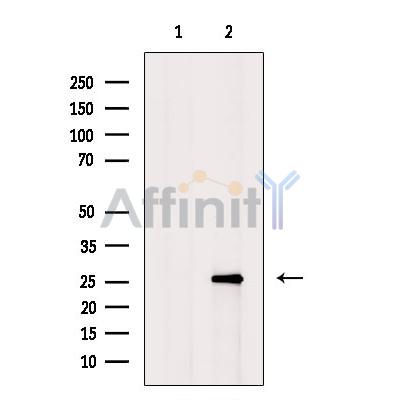 Валидация Affinity DF7893 - 19717
