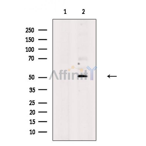 Валидация Affinity DF2478 - 13120