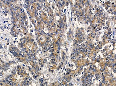 Валидация Affinity AF9163 - 4970