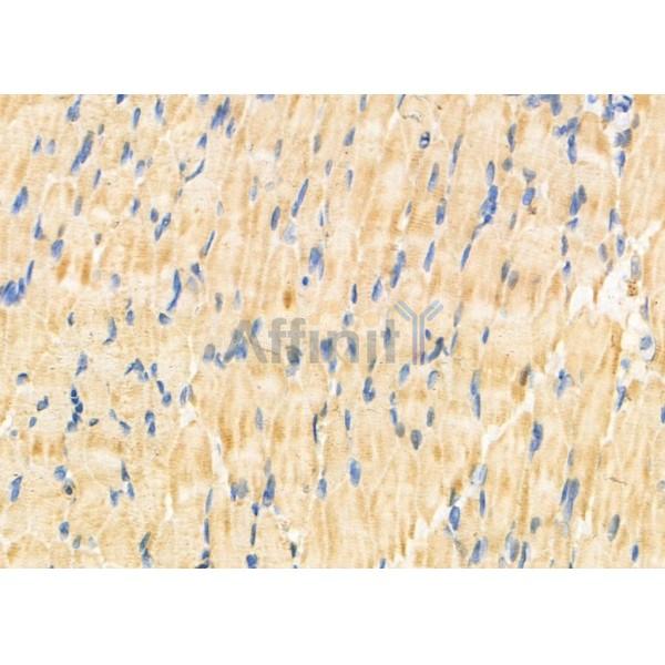 Валидация Affinity DF4799 - 16536