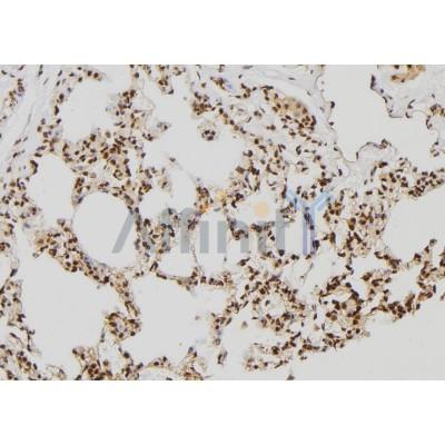 Валидация Affinity DF7403 - 19139