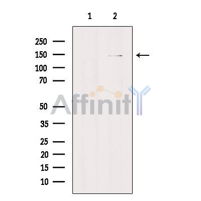 Валидация Affinity AF9073 - 4834