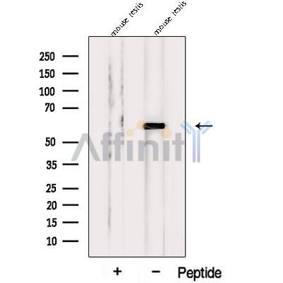 Валидация Affinity DF12706 - 7367