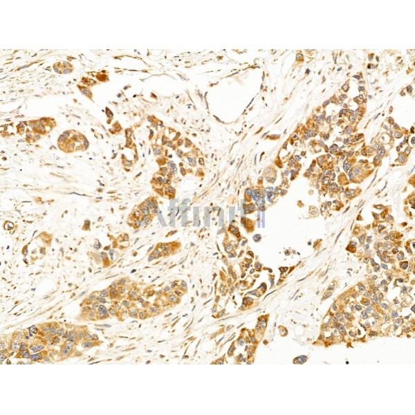 Валидация Affinity DF13610 - 9115