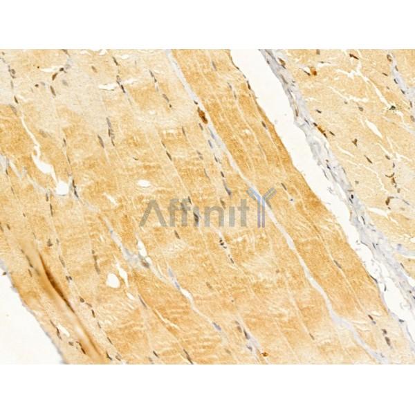 Валидация Affinity DF12193 - 6433