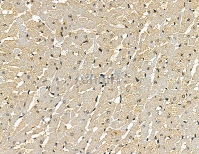 Валидация Affinity DF15956 - 12477