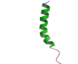 G Protein Coupled Receptor 148 (GPR148) G Protein Coupled Receptor 148 (GPR148)