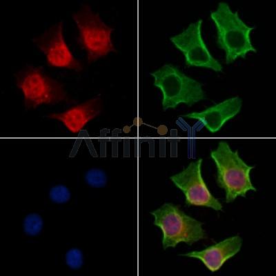 Валидация Affinity DF13563 - 9015