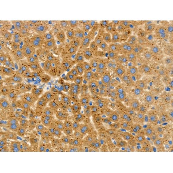 Валидация Affinity DF6694 - 18197