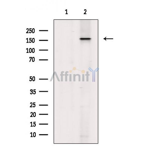 Валидация Affinity AF6798 - 4041