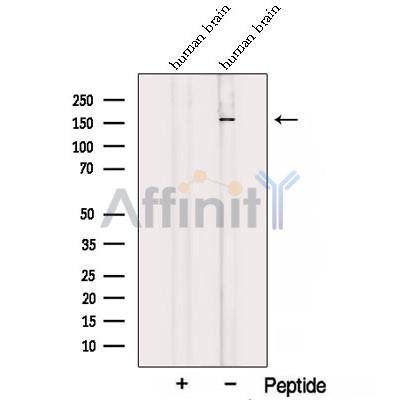 Валидация Affinity DF12765 - 7450