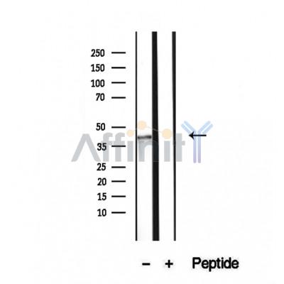 Валидация Affinity DF12432 - 6947