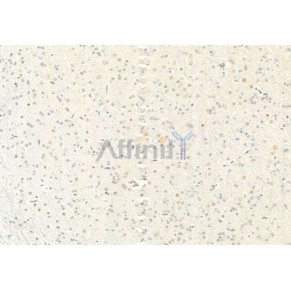 Валидация Affinity AF6141 - 3362