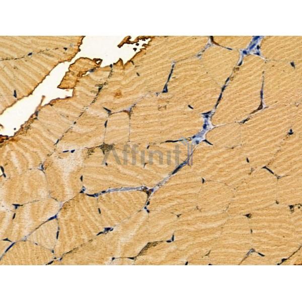 Валидация Affinity DF3163 - 13969