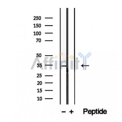 Валидация Affinity DF12341 - 6768